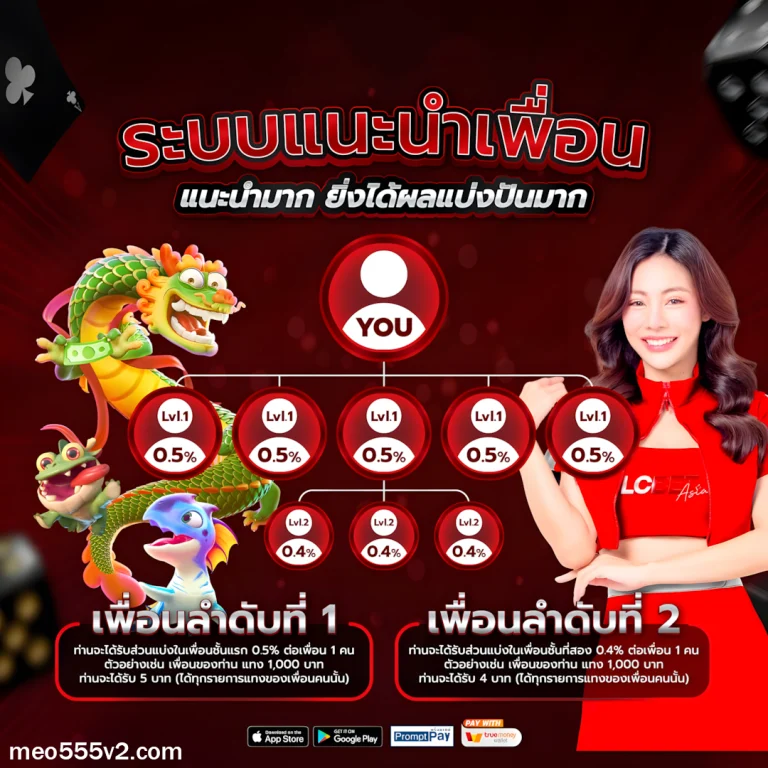 meo555 สล็อต